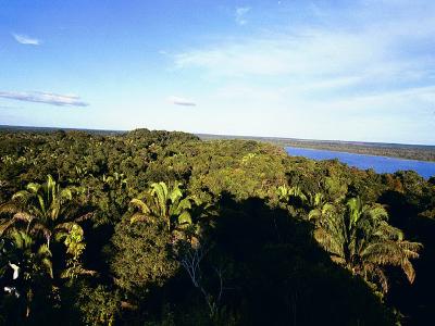 Jason's Earlier Trips - Album 3